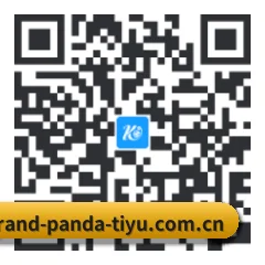 iOS 苹果生态原生版 二维码